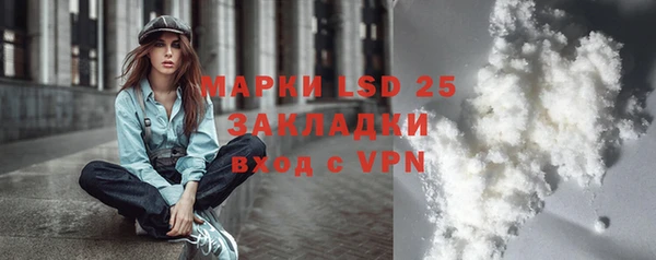 стаф Новозыбков
