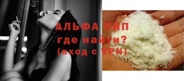 стаф Новозыбков