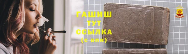стаф Новозыбков
