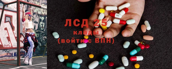 стаф Новозыбков
