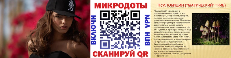 Галлюциногенные грибы Psilocybe  kraken онион  Луза 
