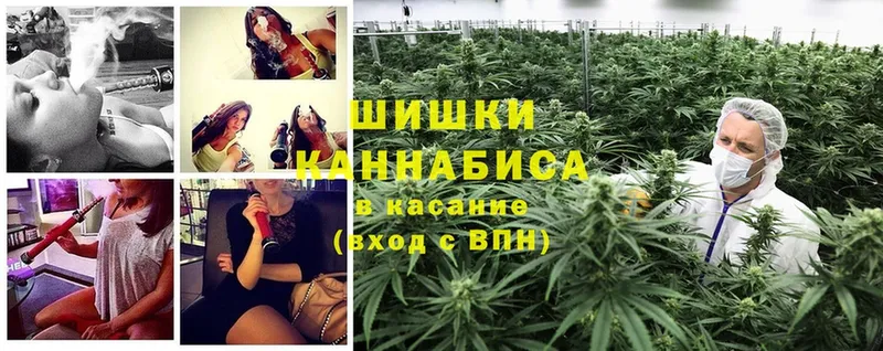 Каннабис Ganja  Луза 